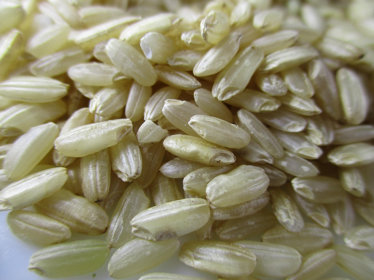 Indian Rice